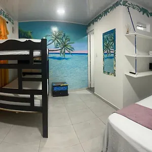 Cattleya San Andrés